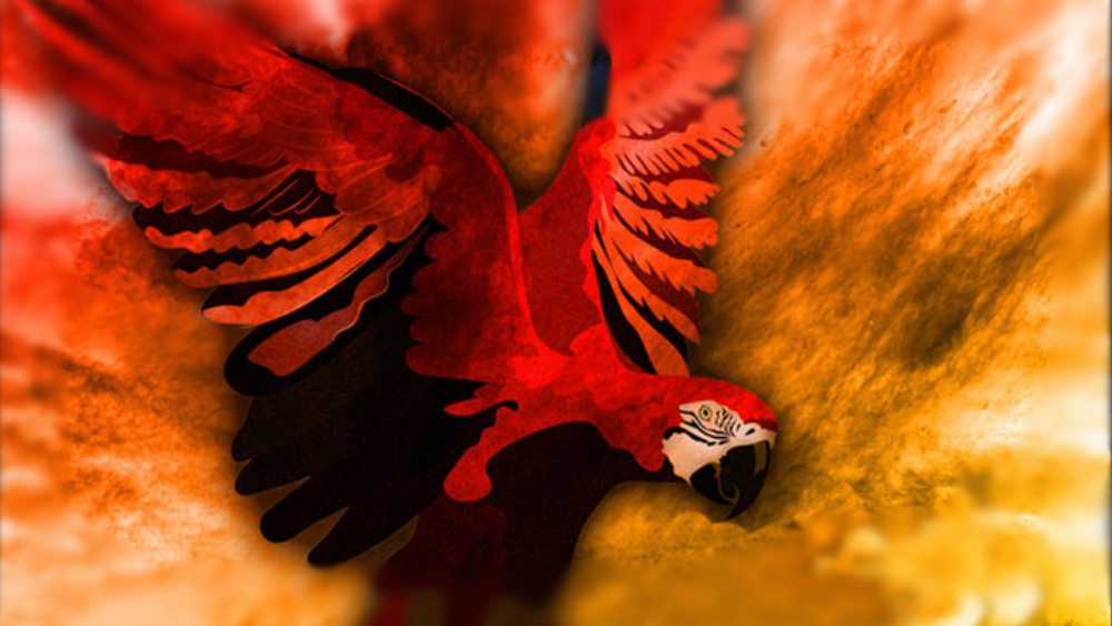 A red parrot in flight